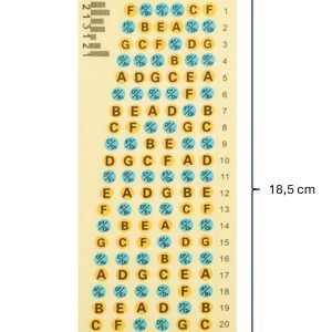 Mapa de notas adhesivo para guitarra